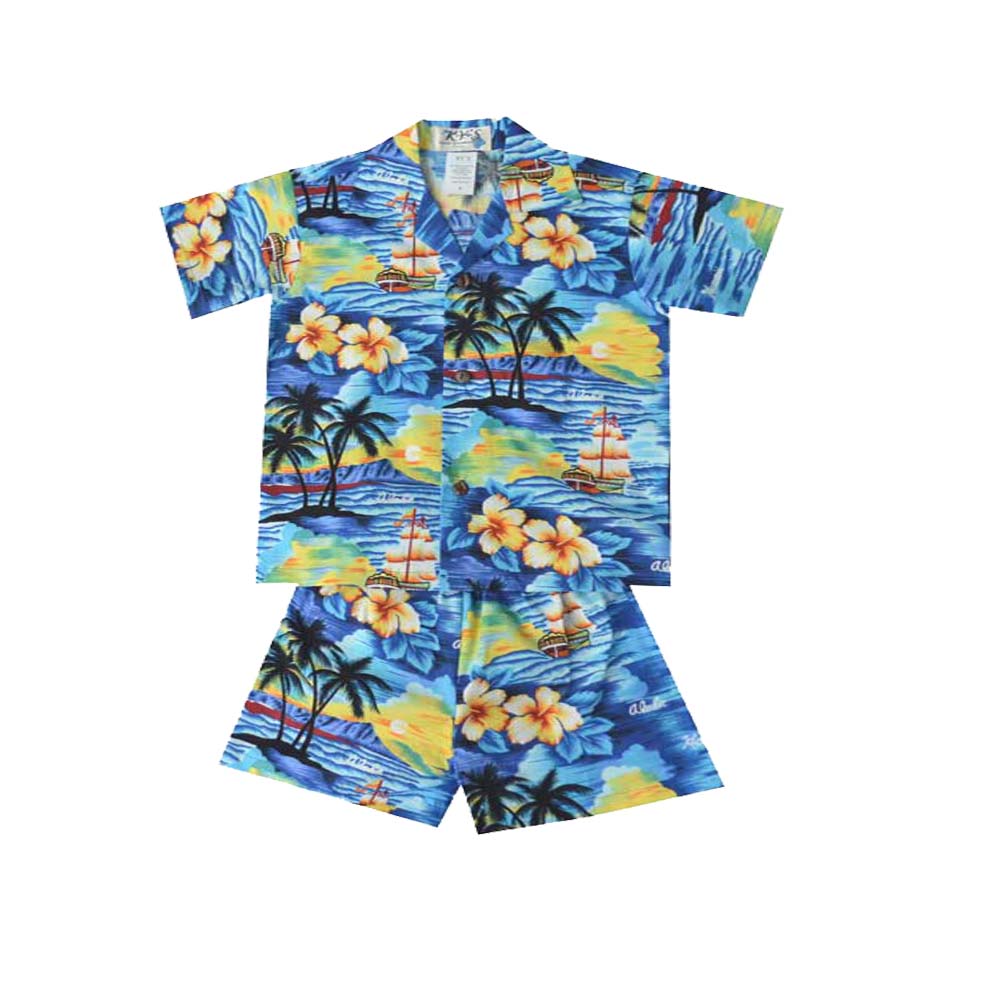 Hawaii Sunset Dad and Me Shirts